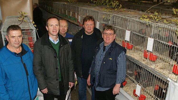 Die Kleintierschau in Eltmann hatte diesmal überregionalen Charakter. Der örtliche Vorsitzende Otmar Klemm und Schirmherr Bürgermeister Michael Ziegler (von links) begrüßten zur Eröffnung auch den Vorsitzenden des Sondervereins seltener Zwerg-Wyandotten, Thomas Rell, und den Kreisvorsitzenden Bertram Trinkerl aus Ebern (von rechts).Sabine Weinbeer