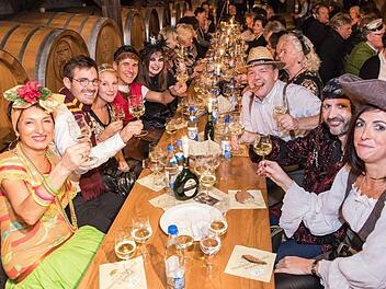 In der W&uuml;rzburger Residenz hat das Casting f&uuml;r die "Fastnacht in Franken" 2018 stattgefunden. Rund 20 K&uuml;nstler mussten um die Gunst des Publikums k&auml;mpfen. Foto: Silvia Gralla