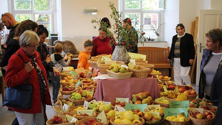 Die Apfelausstellung wurde rege besucht. Fotos: Roland Dietz