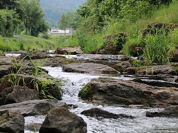 Die Sinn fließt vom Fuße des Kreuzbergs in die Fränkische Saale. In Bayern hat der Wildbach ein gutes Stück seines ursprünglichen Charakters bewahrt. Foto: Ulrike Müller