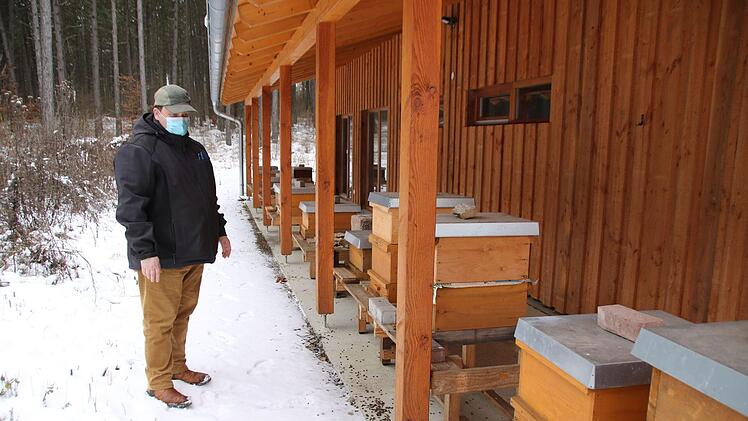Dieter Schölzke kontrolliert regelmäßig die Bienenkästen. Es ist ruhig am Bienenlehrstand. Foto: Heike Beudert