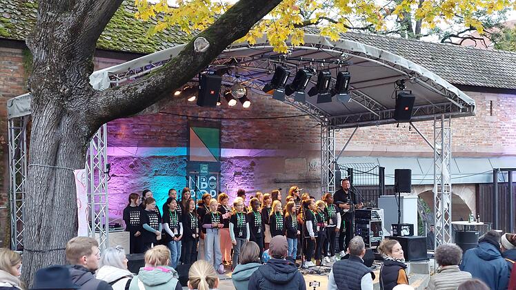 Die schönsten Bilder vom "Nürnberg Pop Festival" - große Fotostrecke