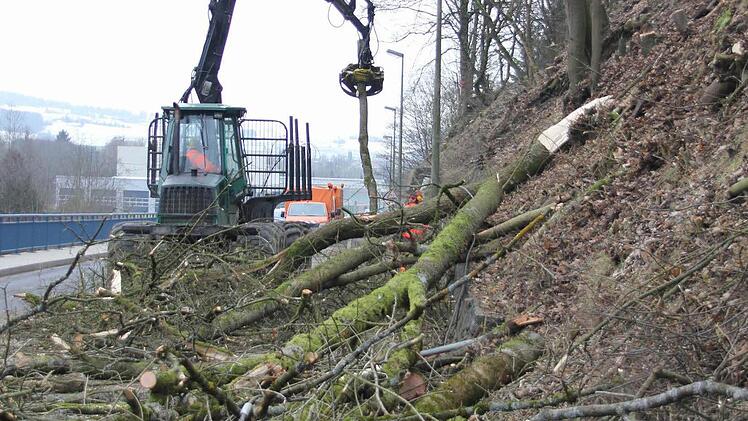 Die Stämme wurden in kurze Stücke geschnitten und verladen. Foto: Friedwald Schedel