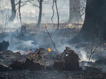 Waldbrand nahe Neustadt bei Coburg