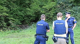 Vorschaubild