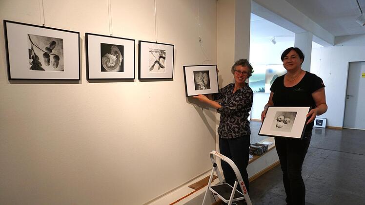 Susanne Casper-Zielonka (links) hängt hier mit Alexandra Mai vom Team des Bruder-Franz-Hauses die Bilder für die Ausstellung auf.