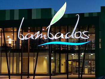 Bamberger Schwimmbad Hallenbad Bambados