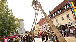 Vorschaubild