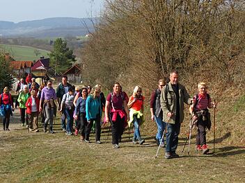 Die Gruppe des Basen-Fasten-Wanderns ist hier auf dem Weg vom Euerdorfer Heiligenberg zum Wittelsbacher Turm. Foto: Doris Bauer
