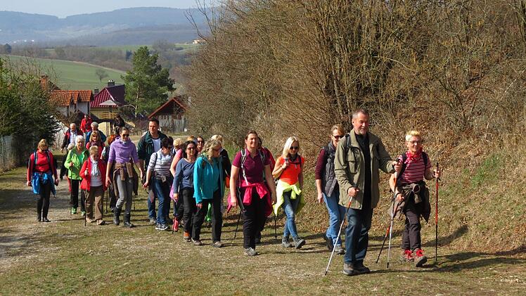 Die Gruppe des Basen-Fasten-Wanderns ist hier auf dem Weg vom Euerdorfer Heiligenberg zum Wittelsbacher Turm. Foto: Doris Bauer