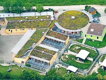 Das Bamberger Tierheim Berganza von oben. Die Quarantäne-Station rechts entstand in der elfjährigen Amtszeit Löfflers.  Foto: Ronald Rinklef