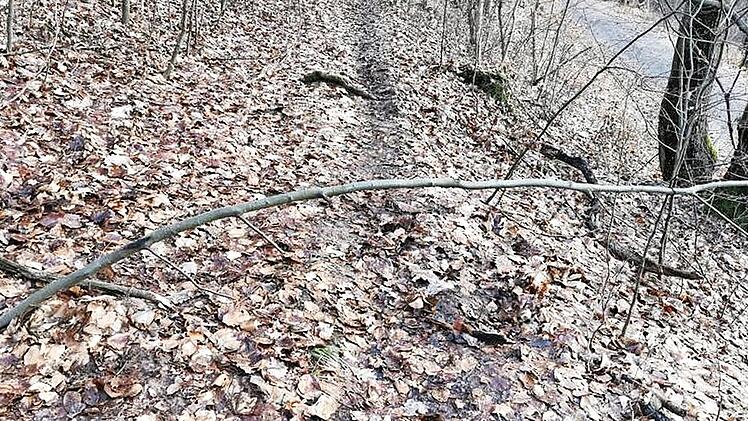 Bäume als Sturzfalle bringen leben in Gefahr.