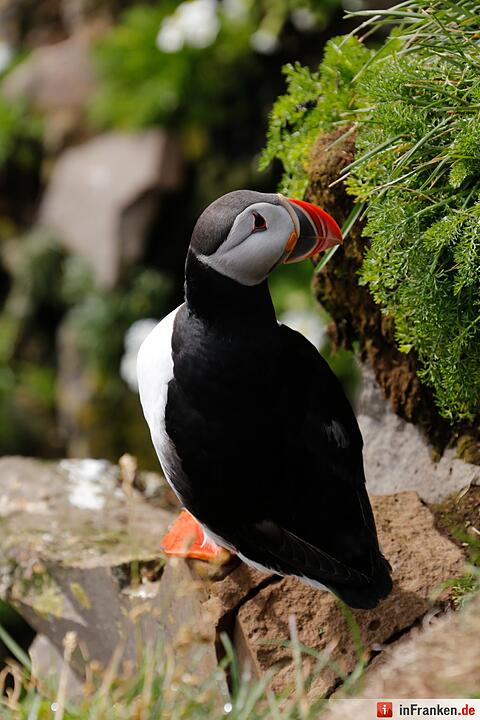 Bilder aus Island