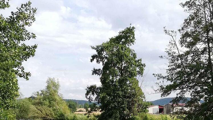 &Uuml;bungs-Wochenende des  Jugend-Einsatz-Teams der Bad Kissinger  DLRG.Christian W&ouml;hning