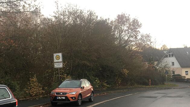 Bei der Awo-F&ouml;rderschule in der Hannes-Strehly-Stra&szlig;e entstand in Jahrzehnten ein Wildwuchs, in dem es kreucht und fleucht. Dort will ein Investor zwei Wohnblocks bauen - zum Unwillen der Nachbarschaft. Das Thema besch&auml;ftigt am Donnerstag den Stadtrat.  Stephan Tiroch