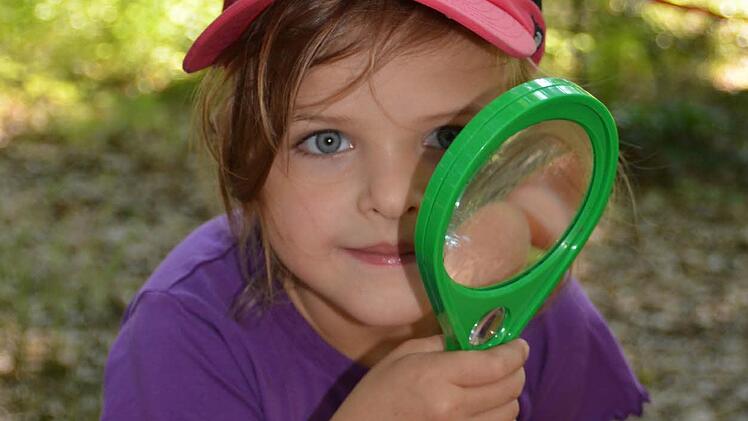 Frieda: - "Ich schaue nach Spuren und welche Bäume es hier gibt. Eichen, Buchen und Tannen habe ich hier schon gesehen."  Foto: kkh