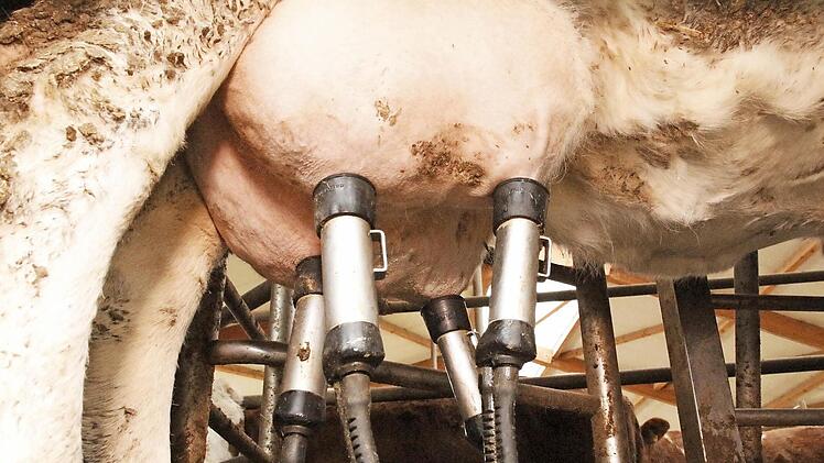 Melkmaschinen sind mittlerweile Hi-Tech-Apparate. Foto: Josef Hofbauer