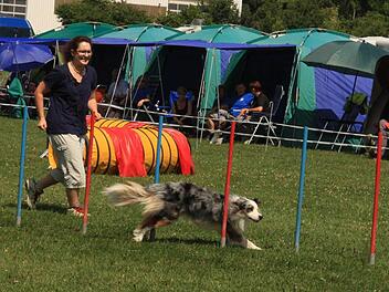 Hund und Frauchen nehmen beim Agility-Turnier in Dobenreuth die Beine in die Hand. Fotos: Galster