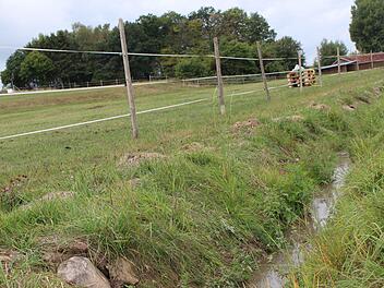 Der Hochbehälter in Detter leckt und wird aus Kostengründen nicht mehr repariert. Der nahe gelegene Reiterhof nutzt das auslaufende Wasser, um die Pferde zu tränken. Foto: Julia Raab