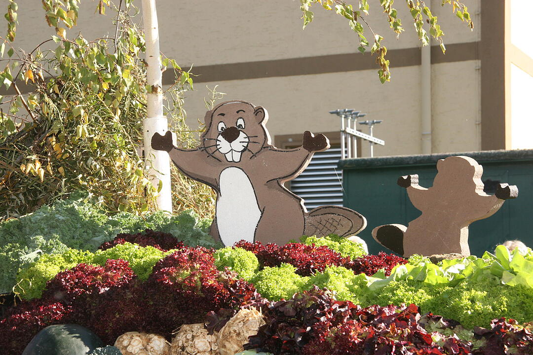 Kirchweih Etwashausen