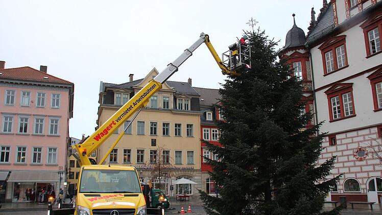 Der Baum steht!Oliver Schmidt