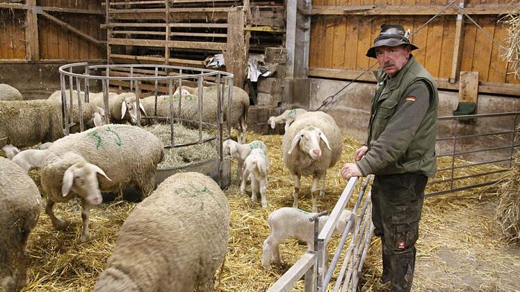 Schäfer Georg Distler blickt einer ungewissen Zukunft entgegen. Fotos: Löwisch