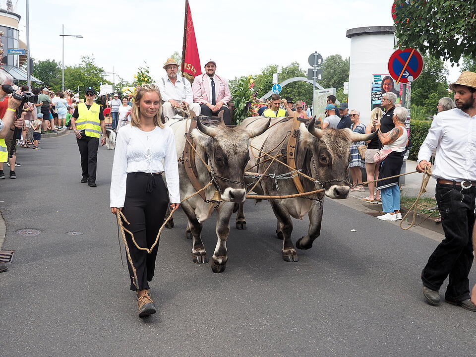 Der sonnt&auml;gliche H&ouml;hepunkt des Rakoczy-Fest.