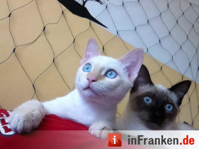 Foto: Thorsten Schwinn