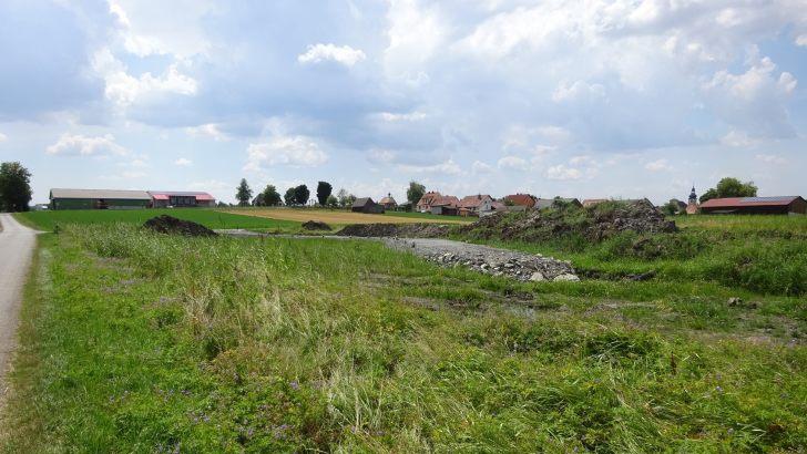 In diesem Feuchtgebiet liegt das geplante  Regenrückhaltebecken.Anton Then