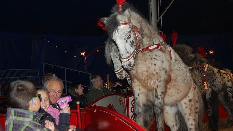 Die "Rasselbande" mit den "Pippi-Langstrumpf-Ponys" begeisterte die Kinder, auch als Eddy, der Tigerscheck-Hengst, sie mit wachsamen Augen musterte. Fotos: Andreas Welz