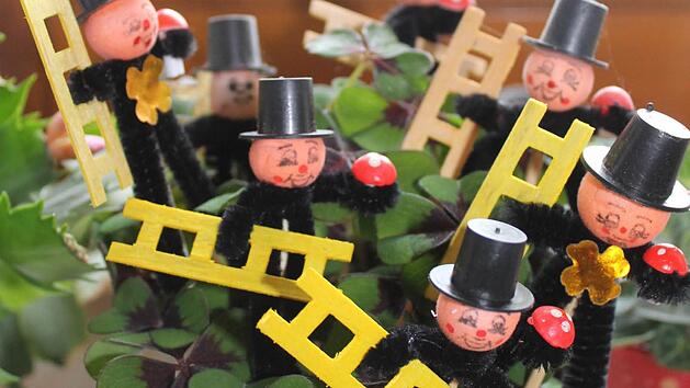 Bei Temperaturen um 10-15 Grad f&uuml;hlt sich der Gl&uuml;cksklee am wohlsten. Foto: Jupp Schr&ouml;der