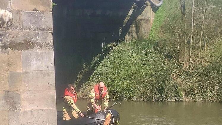 Bamberg: Feuerwehr zieht 12 Meter hohen Baum aus Regnitz - "Gefahr für die Binnenschiffahrt"
