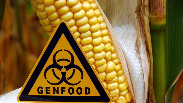 Gentechnik in Lebensmitteln