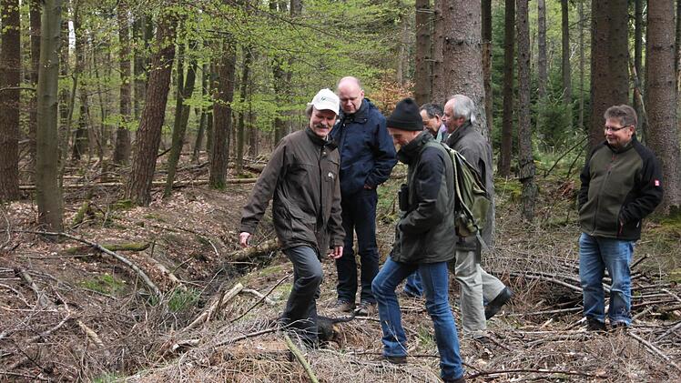 Adolf Herr (mit weißer Kappe) zeigt die Kernzone Nasswald im Neuwirtshauser Forst. Foto: Paul Ziegler