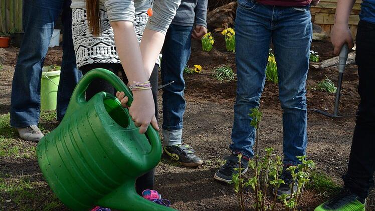 Beerenbeet: Pflanztag mit dem Gartenbauverein Melkendorf Foto: Dagmar Besand