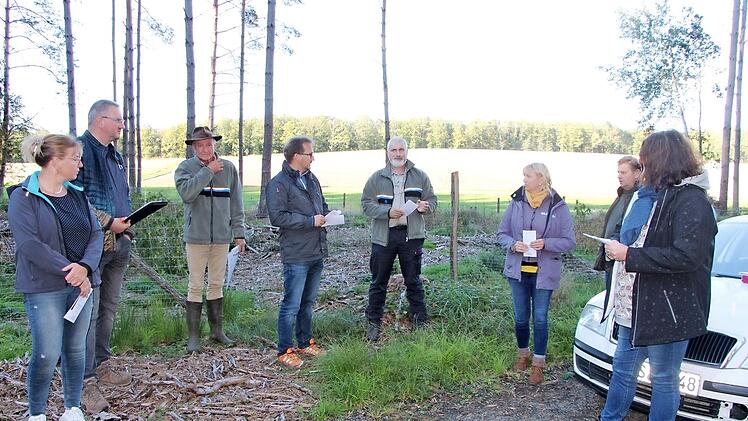 Revierförster Wolfgang Meiners, Bürgermeister Wolfram Thein und Forstdirektor Jürgen Hahn (ab Dritter von links) mit Gemeinderäten beim Waldrundgang