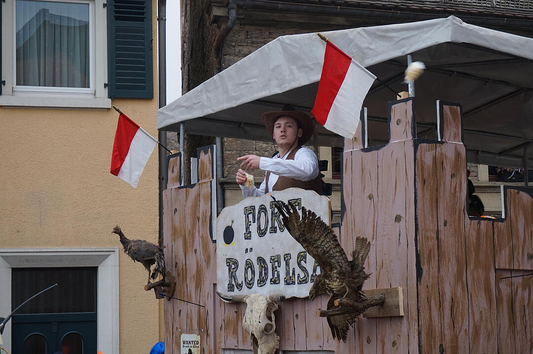 Landkreisfaschingszug 2015