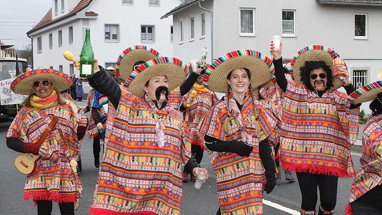 Faschingsumzug in Neukenroth. Foto: Michael Wunder