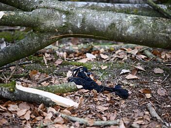 Baum umgest&uuml;rzt - Drei Tote bei Flensburg