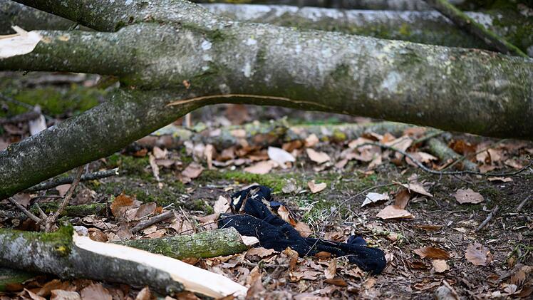 Baum umgest&uuml;rzt - Drei Tote bei Flensburg
