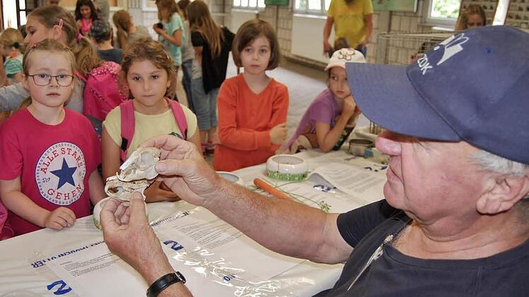 Viel geboten war beim Ferienprogramm der Kleintierzüchter. Foto: Sigismund von Dobschütz