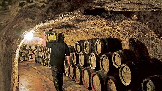 Bierlagerung wie zu alten Zeiten Foto: frankentourismus/frs/hub