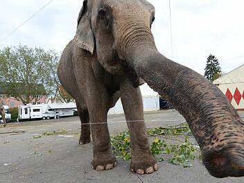 Symbolfoto: Franziska Kraufmann/dpa