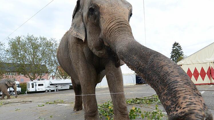 Symbolfoto: Franziska Kraufmann/dpa