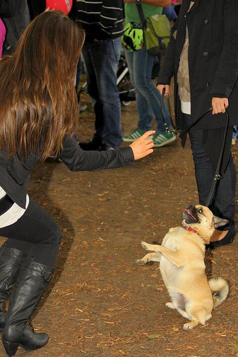 Hula Hoop Familienfest, Bamberg 24.07.2011 - Teil 1