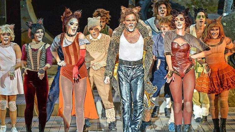 Cats auf der Luisenburg, hier mit Verena Kollruss als Cassandra, Fabian-Joubert Gallmeister als Rum Tum Tugger, Carien Keizer als Bombalurina Foto: Florian Miedl