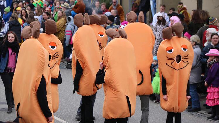 Faschingsumzug in Poppenlauer  Foto: Thomas Malz