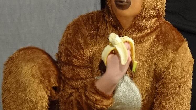 Auch Fips der Affe wurde in den Zeugenstand gerufen, um eine Aussage zu seiner Geschichte zu machen.