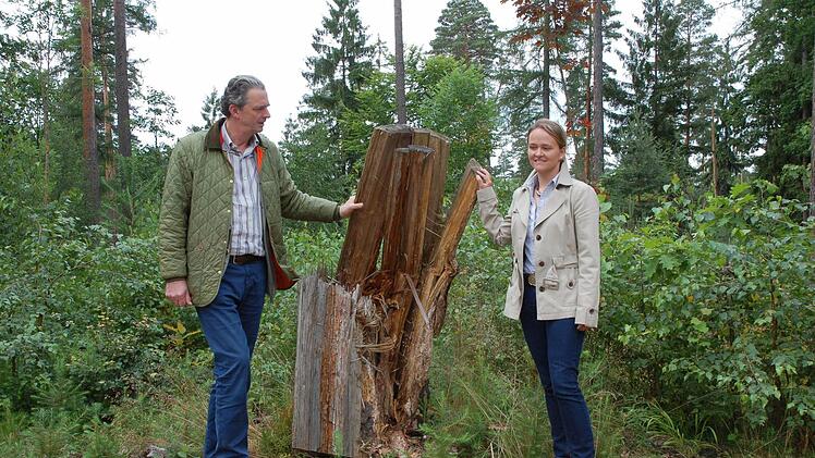 Heinrich Graf zu Ortenburg und Friederike Hafermann zeigen eine Baumstumpf. Auch solche Baumreste, die Vergänglichkeit symbolisieren, können als Grabstätte gebucht werden. Foto: Rainer Lutz