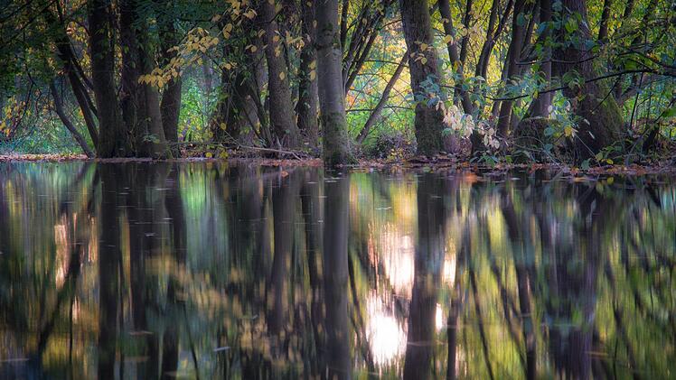 Wunderschön anzuschauen, doch in der Stadt birgt sie eine Gefahr: Die aufgestaute Sinn. Foto: Ingo Queck